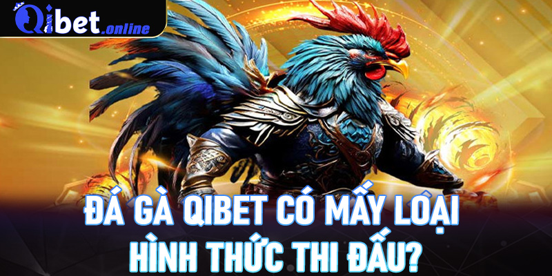 Đá gà Qibet có mấy loại hình thức thi đấu?