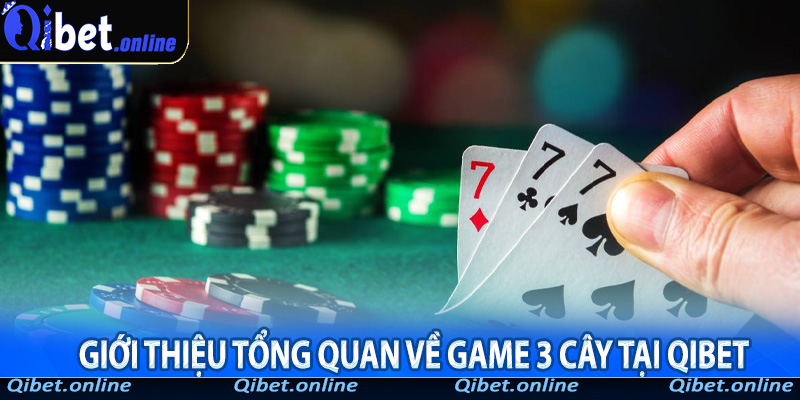 Giới thiệu tổng quan về game 3 cây tại Qibet