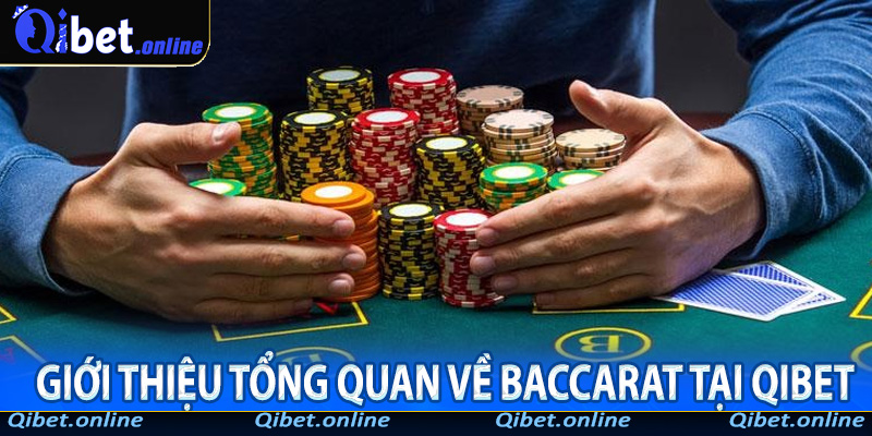 Giới thiệu tổng quan về baccarat tại QiBet