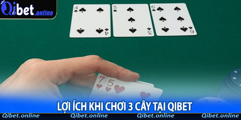 Lợi ích khi chơi 3 cây tại Qibet